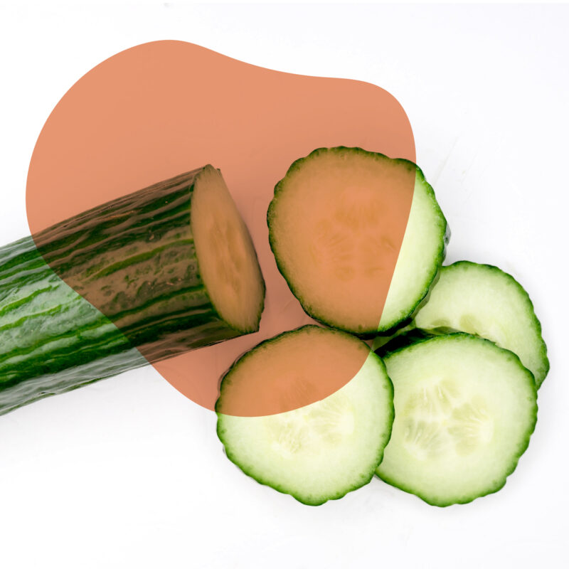 pepino japonês fresco direto do sítio com entrega em casa em São Paulo – hortaliças naturais e sem agrotóxicos.entrega em sp verduras mais frescas com delivery na cidade. Sem agrotóxicos, agroecológicos, horta agroflorestal, Orgânica.