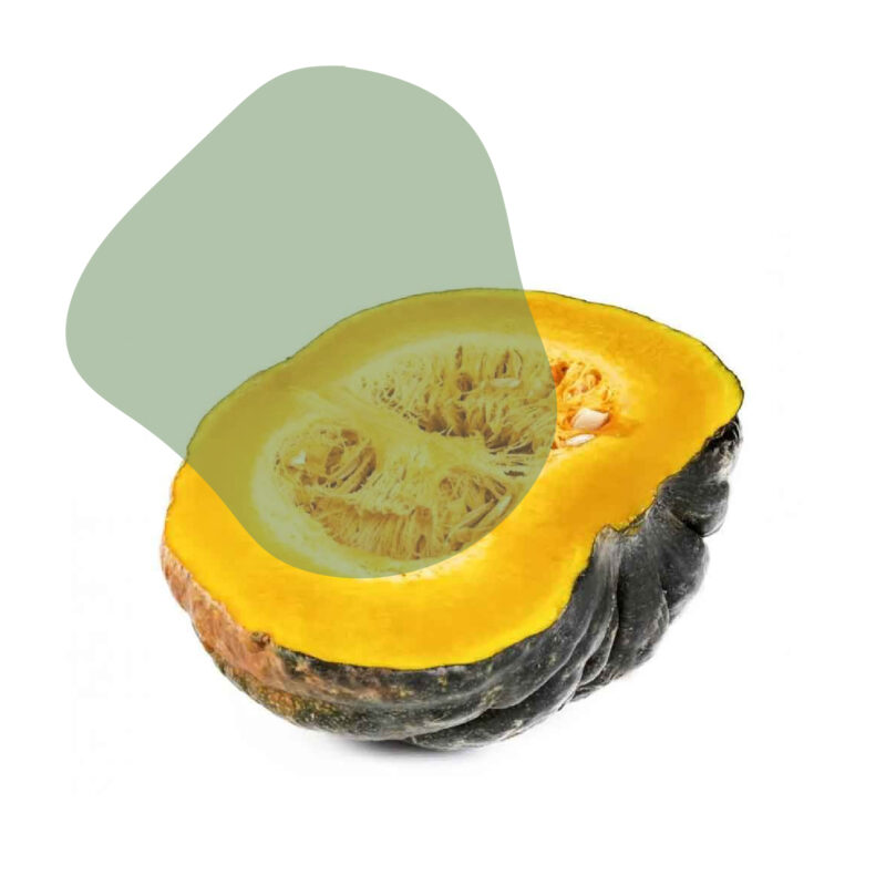 abóbora cabotiá fresca direto do sítio com entrega em casa em São Paulo – hortaliças naturais e sem agrotóxicos.entrega em sp verduras mais frescas com delivery na cidade. Sem agrotóxicos, agroecológicos, horta agroflorestal, Orgânica.