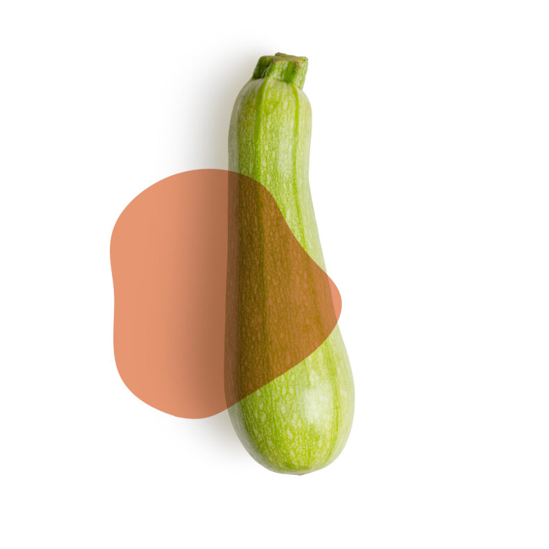 abobrinha fresca direto do sítio com entrega em casa em São Paulo – hortaliças naturais e sem agrotóxicos.entrega em sp verduras mais frescas com delivery na cidade. Sem agrotóxicos, agroecológicos, horta agroflorestal, Orgânica.