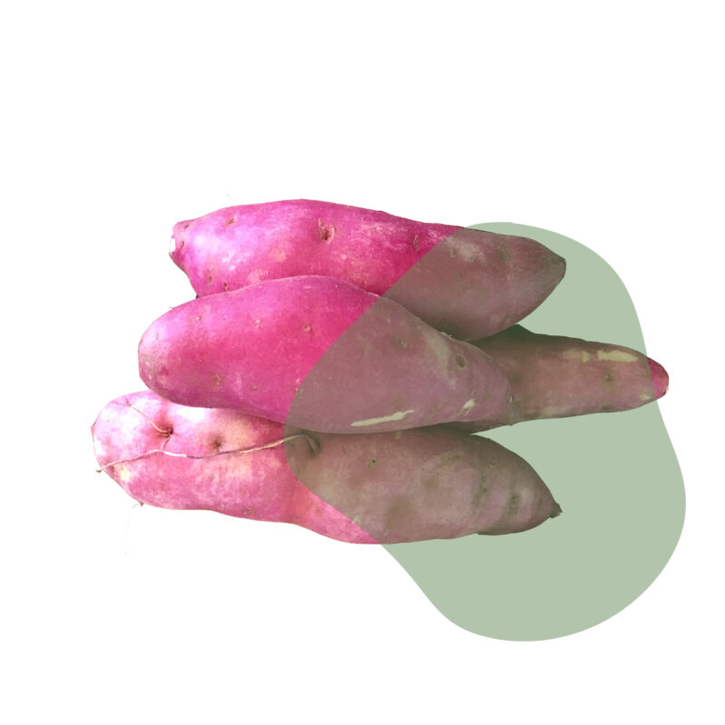 batata doce fresca direto do sítio com entrega em casa em São Paulo – hortaliças naturais e sem agrotóxicos.entrega em sp verduras mais frescas com delivery na cidade. Sem agrotóxicos, agroecológicos, horta agroflorestal, Orgânica.