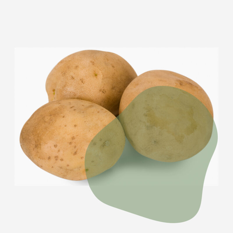 batata inglesa fresca direto do sítio com entrega em casa em São Paulo – hortaliças naturais e sem agrotóxicos.entrega em sp verduras mais frescas com delivery na cidade. Sem agrotóxicos, agroecológicos, horta agroflorestal, Orgânica.