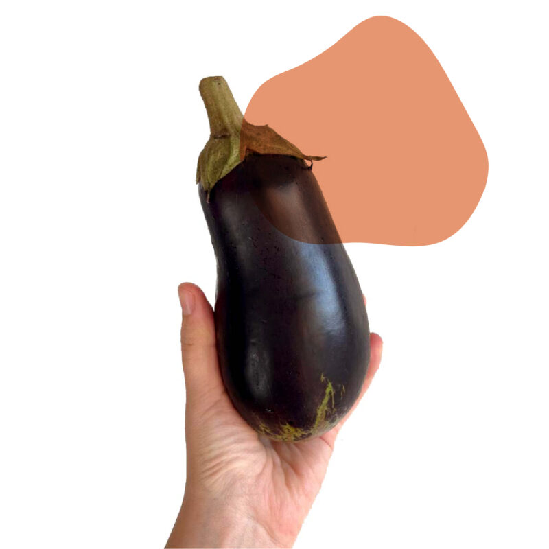 berinjela fresca direto do sítio com entrega em casa em São Paulo – hortaliças naturais e sem agrotóxicos.entrega em sp verduras mais frescas com delivery na cidade. Sem agrotóxicos, agroecológicos, horta agroflorestal, Orgânica.