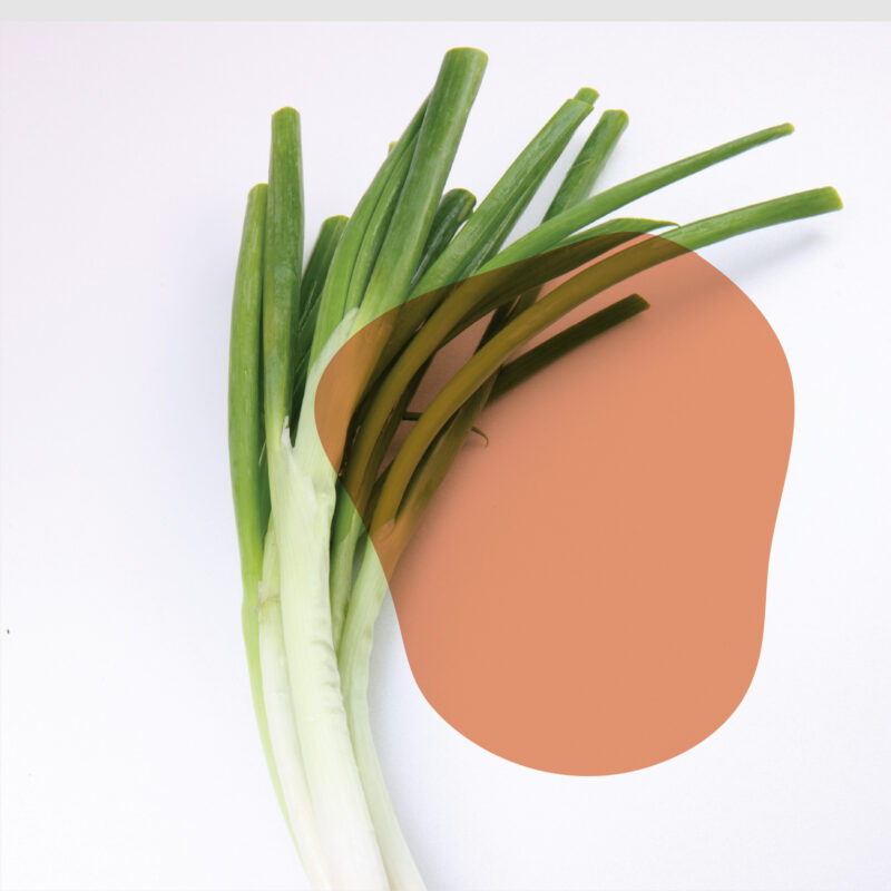 cebolinha naturais e sem agrotóxicos.entrega em sp verduras mais frescas com delivery na cidade. Sem agrotóxicos, agroecológicos, horta agroflorestal, Orgânica.