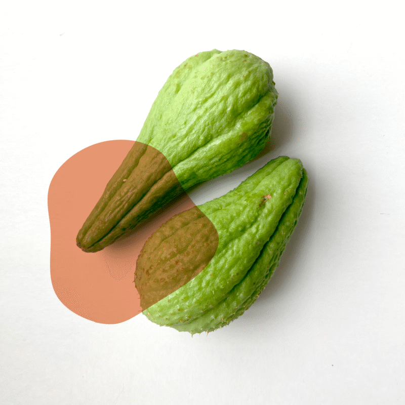 chuchu fresco direto do sítio com entrega em casa em São Paulo – hortaliças naturais e sem agrotóxicos.entrega em sp verduras mais frescas com delivery na cidade. Sem agrotóxicos, agroecológicos, horta agroflorestal, Orgânica.