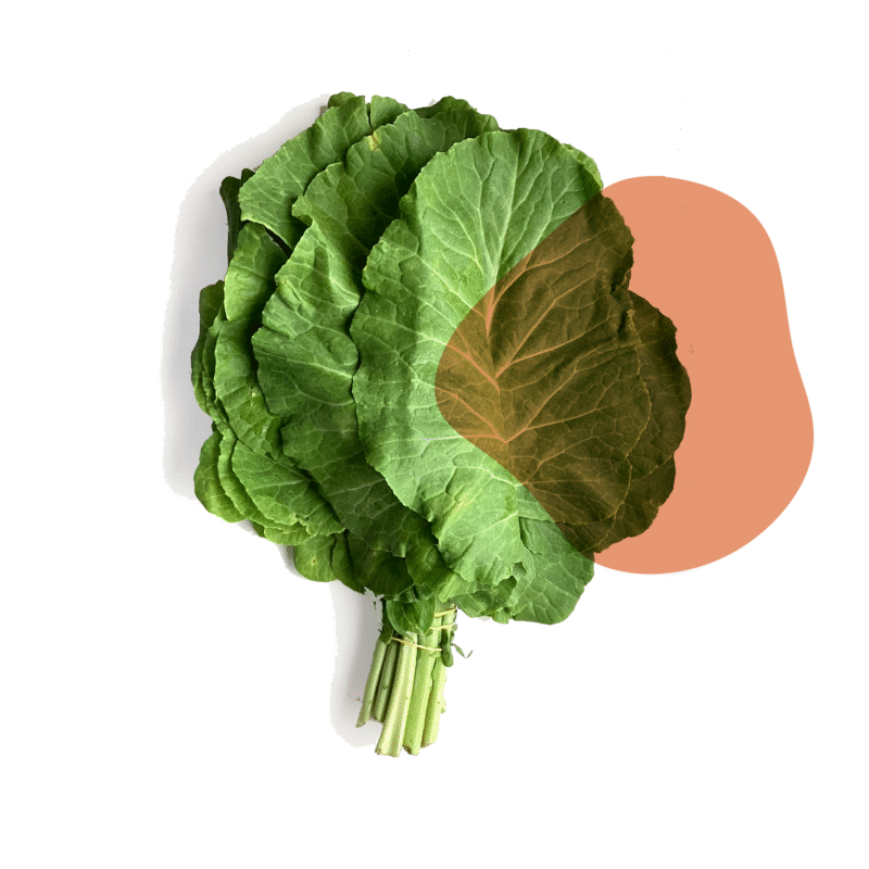 couve naturais e sem agrotóxicos.entrega em sp verduras mais frescas com delivery na cidade. Sem agrotóxicos, agroecológicos, horta agroflorestal, Orgânica