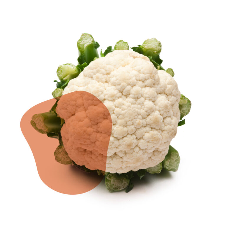 couve flor fresca direto do sítio com entrega em casa em São Paulo – hortaliças naturais e sem agrotóxicos.entrega em sp verduras mais frescas com delivery na cidade. Sem agrotóxicos, agroecológicos, horta agroflorestal, Orgânica.