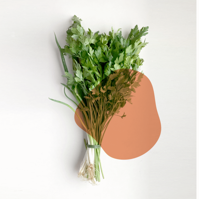 cheiro verde naturais e sem agrotóxicos.entrega em sp verduras mais frescas com delivery na cidade. Sem agrotóxicos, agroecológicos, horta agroflorestal, Orgânica