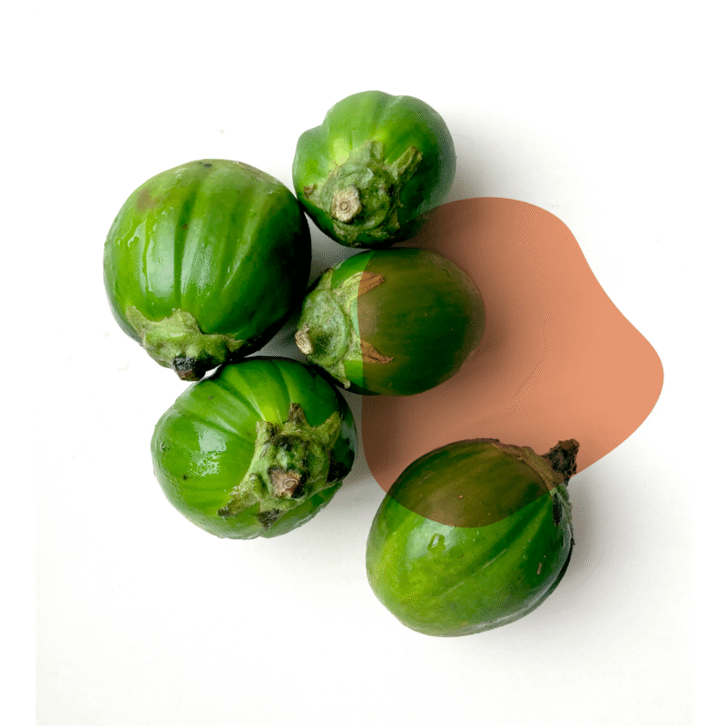 jiló fresco direto do sítio com entrega em casa em São Paulo – hortaliças naturais e sem agrotóxicos.entrega em sp verduras mais frescas com delivery na cidade. Sem agrotóxicos, agroecológicos, horta agroflorestal, Orgânica.
