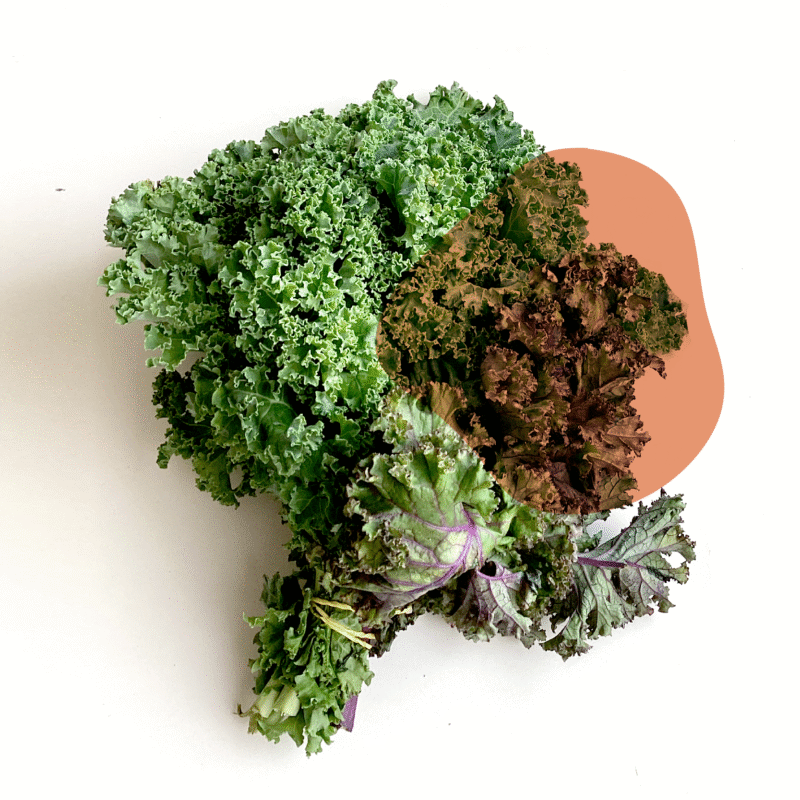 couve kale naturais e sem agrotóxicos.entrega em sp verduras mais frescas com delivery na cidade. Sem agrotóxicos, agroecológicos, horta agroflorestal, Orgânica