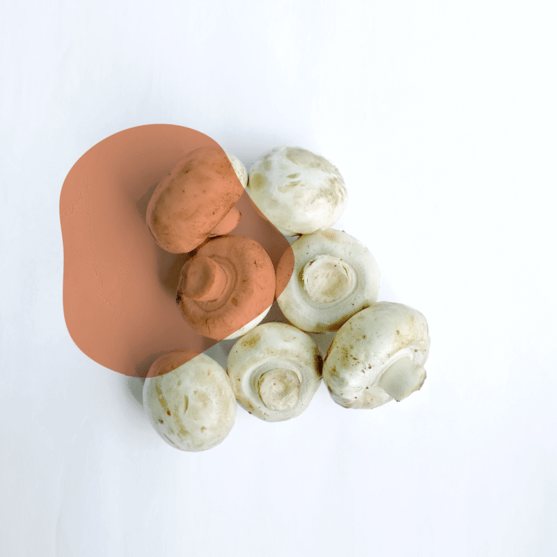 cogumelo paris fresco direto do sítio com entrega em casa em São Paulo – hortaliças naturais e sem agrotóxicos.entrega em sp verduras mais frescas com delivery na cidade. Sem agrotóxicos, agroecológicos, horta agroflorestal, Orgânica.