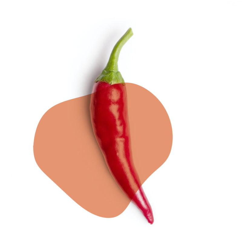 pimenta dedo de moça fresca direto do sítio com entrega em casa em São Paulo – hortaliças naturais e sem agrotóxicos.entrega em sp verduras mais frescas com delivery na cidade. Sem agrotóxicos, agroecológicos, horta agroflorestal, Orgânica.