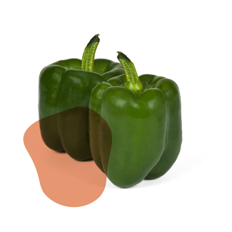 pimentão verde fresco direto do sítio com entrega em casa em São Paulo – hortaliças naturais e sem agrotóxicos.entrega em sp verduras mais frescas com delivery na cidade. Sem agrotóxicos, agroecológicos, horta agroflorestal, Orgânica.