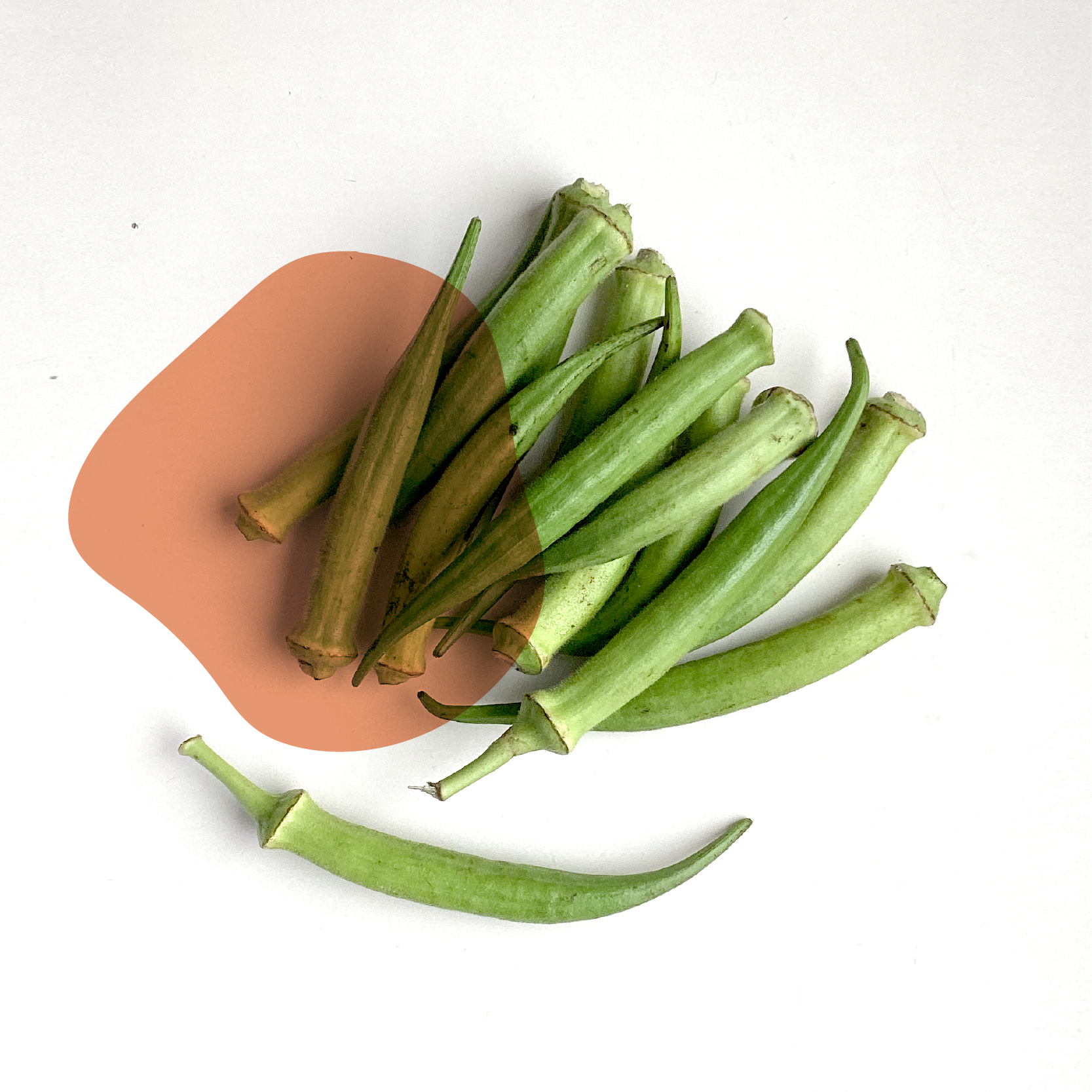 quiabo fresco direto do sítio com entrega em casa em São Paulo – hortaliças naturais e sem agrotóxicos.entrega em sp verduras mais frescas com delivery na cidade. Sem agrotóxicos, agroecológicos, horta agroflorestal, Orgânica.