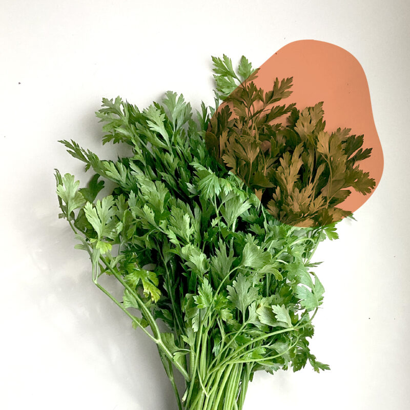 salsinha naturais e sem agrotóxicos.entrega em sp verduras mais frescas com delivery na cidade. Sem agrotóxicos, agroecológicos, horta agroflorestal, Orgânica