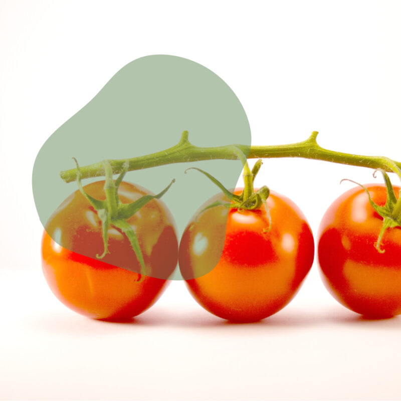tomate fresco direto do sítio com entrega em casa em São Paulo – hortaliças naturais e sem agrotóxicos.entrega em sp verduras mais frescas com delivery na cidade. Sem agrotóxicos, agroecológicos, horta agroflorestal, Orgânica.