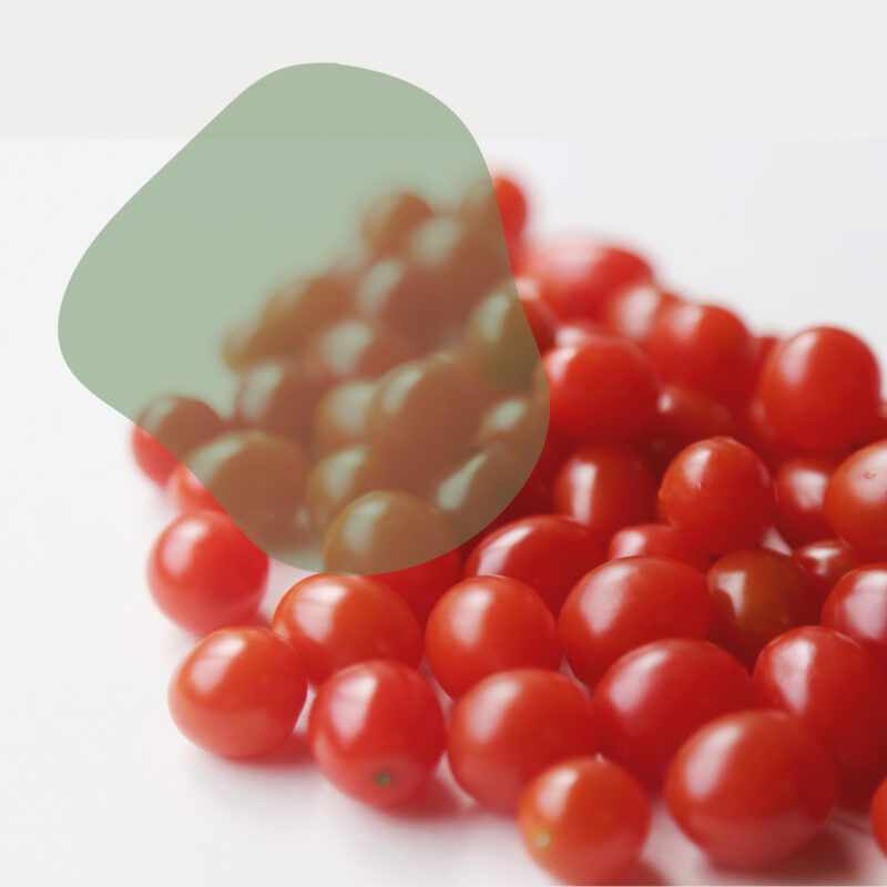 tomatinhos frescos direto do sítio com entrega em casa em São Paulo – hortaliças naturais e sem agrotóxicos.entrega em sp verduras mais frescas com delivery na cidade. Sem agrotóxicos, agroecológicos, horta agroflorestal, Orgânica.