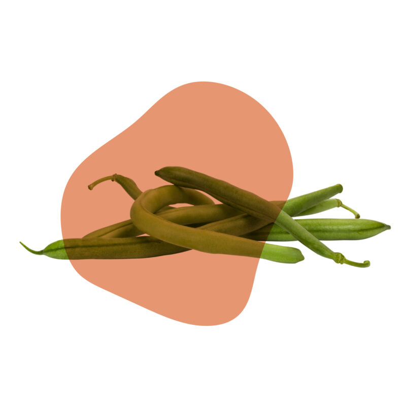 vagem fresca direto do sítio com entrega em casa em São Paulo – hortaliças naturais e sem agrotóxicos.entrega em sp verduras mais frescas com delivery na cidade. Sem agrotóxicos, agroecológicos, horta agroflorestal, Orgânica.