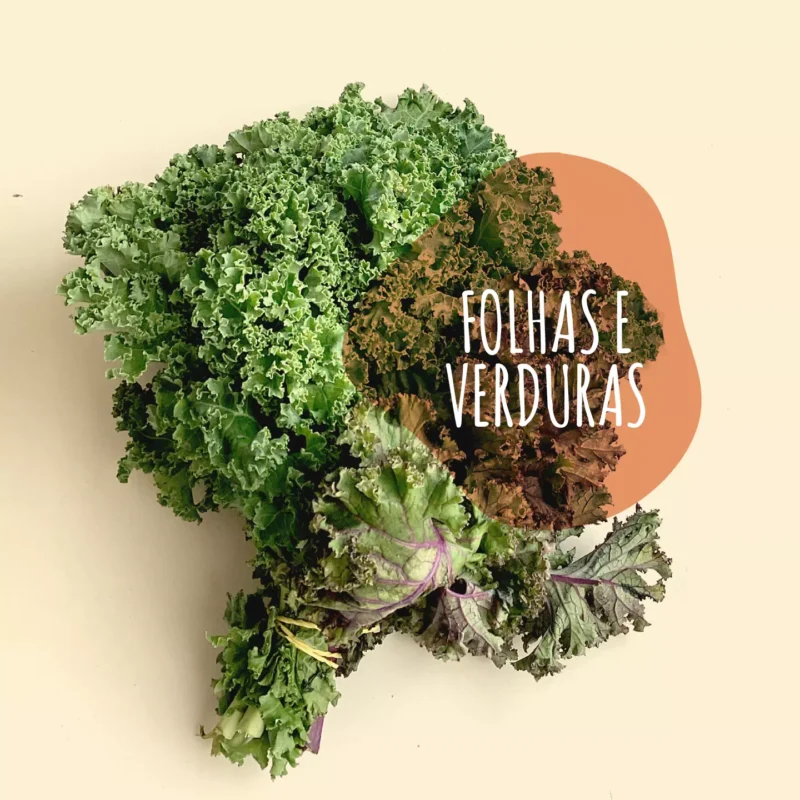 Folhas e legumes frescos direto do sítio com entrega em casa em São Paulo – hortaliças naturais e sem agrotóxicos. agroecológicos, horta agroflorestal, Orgânica.