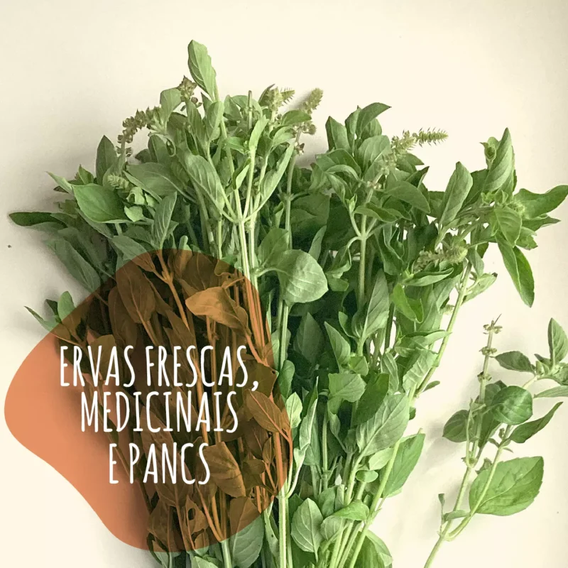 Ervas frescas medicinais e PANCs direto do sítio com entrega em São Paulo – naturais, cultivadas sem agrotóxicos
