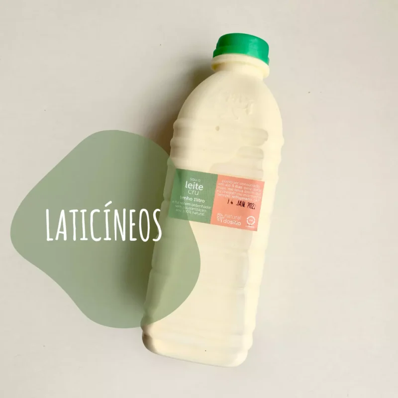 Laticínios artesanais direto do campo com entrega em domicílio em São Paulo – produtos naturais frescos do sítio.