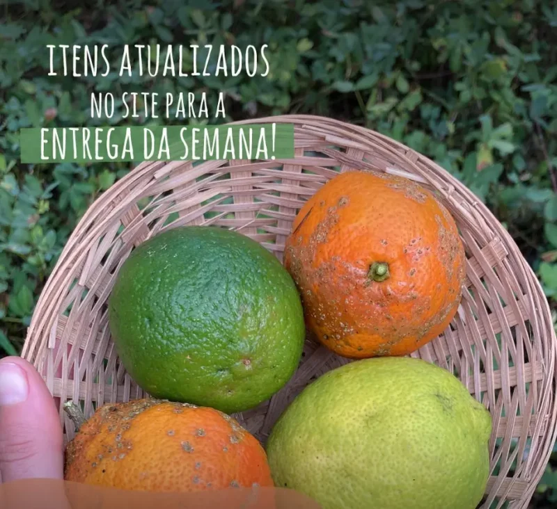 FRUTAS - Image 2