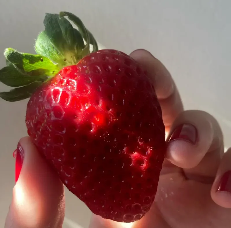 FRUTAS - Image 3